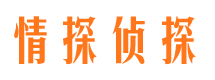 齐河婚外情调查取证